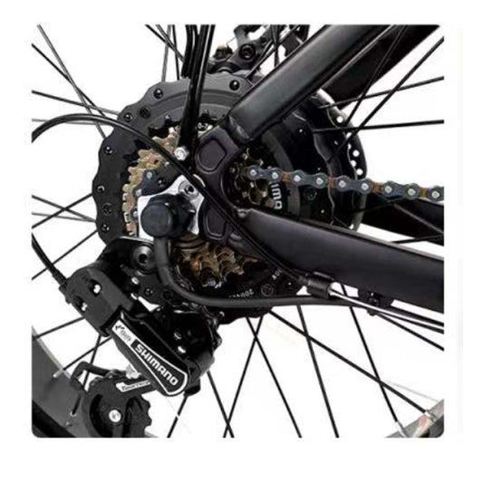 Fat bike électrique France gyrotrot