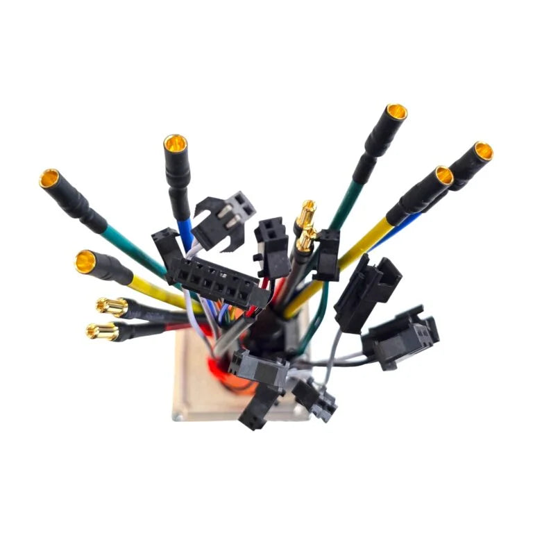 Contrôleur 60V 30A 1800W pour Dualtron Victor-Luxury