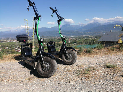 Trottinette électrique Trotlux TX2 1000 W