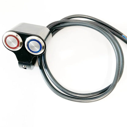 Dual button panel switch + push button