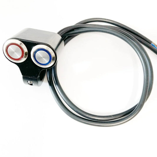 Dual button panel switch + push button