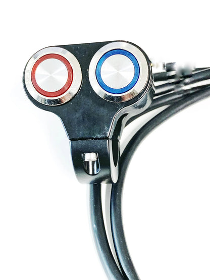 Dual button panel switch + push button