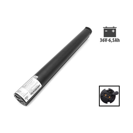 Batterie pour trotinette electrique Cecotec