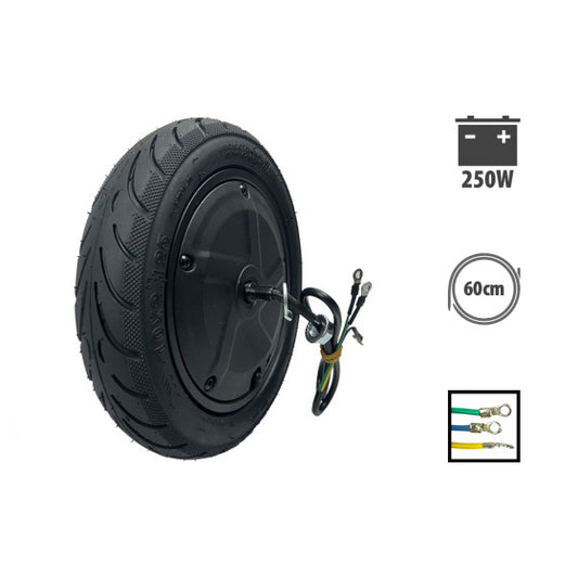 Moteur Ninebot F30 250W