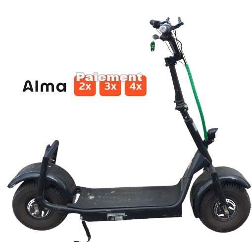 Trottinette électrique Trotlux TX2 1000 W